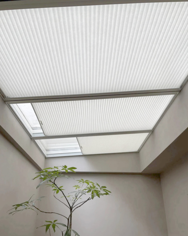 Ceiling Honeycomb Blinds