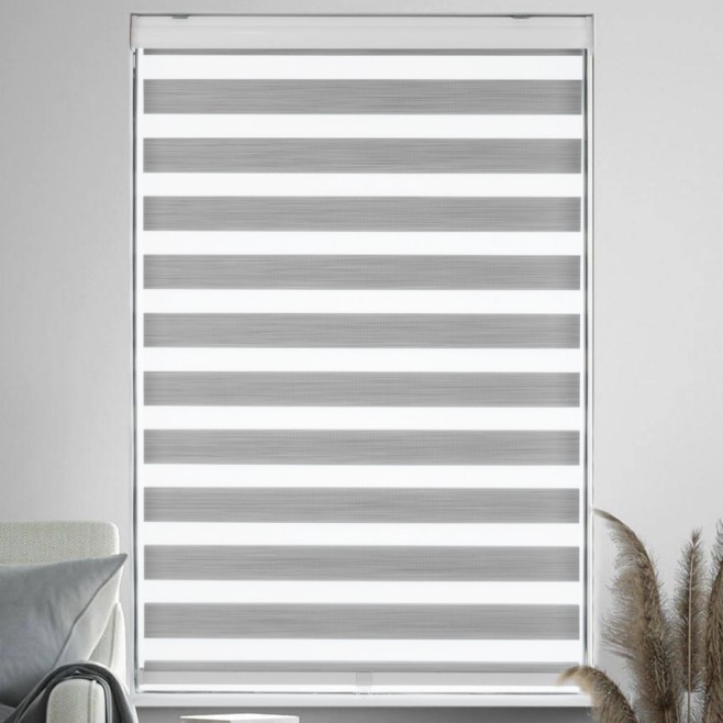 Zebra Blinds