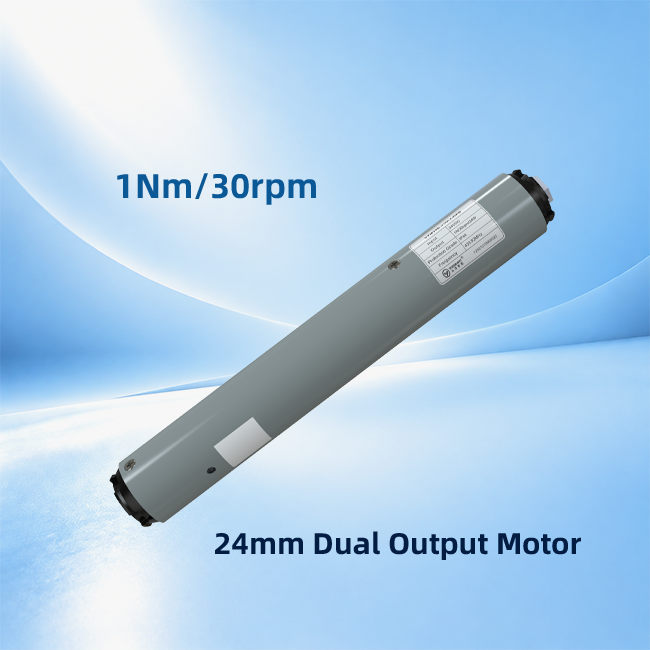 YZM24T-1/30-II-Dual-output Motor